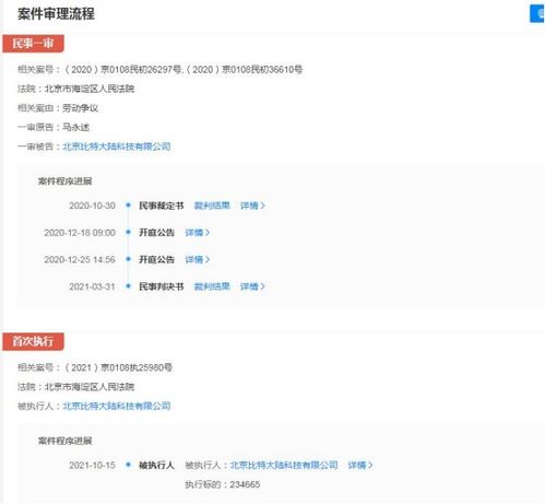 比特大陸關(guān)聯(lián)公司成被執(zhí)行人，執(zhí)行標(biāo)的超23萬(wàn)元涉及軟件開(kāi)發(fā)